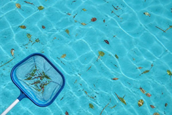 pool debris removal after a storm