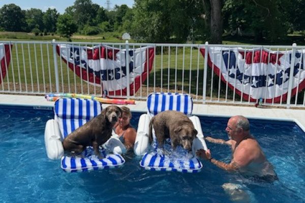 inflatable pool vs. above ground pool