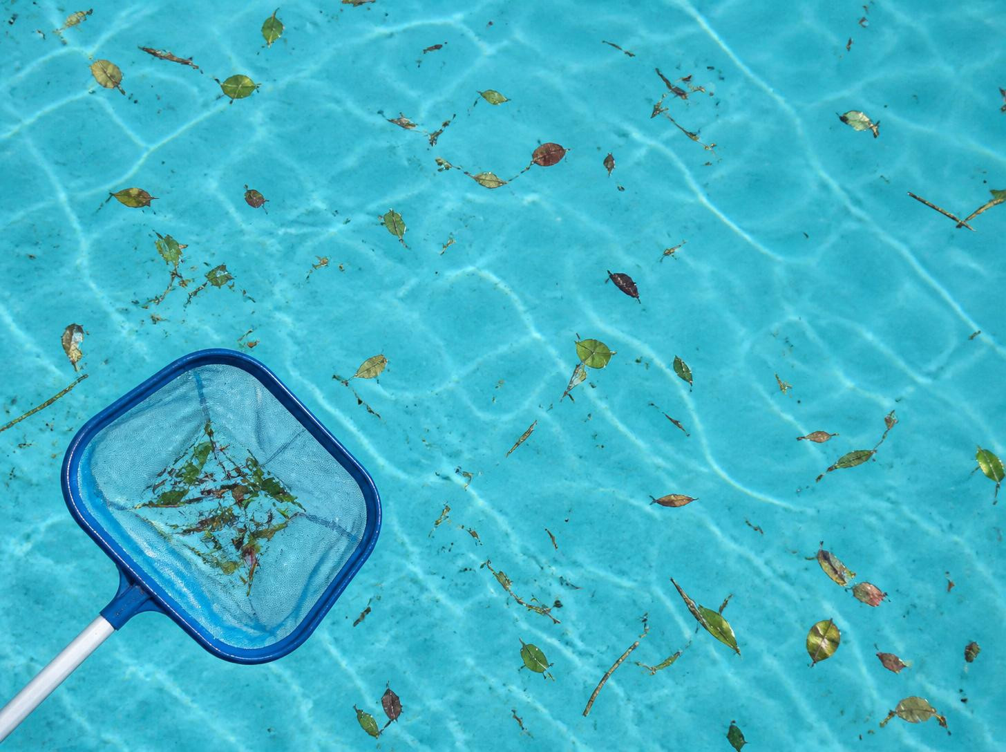 Pool Resources 1 pool debris removal after a storm